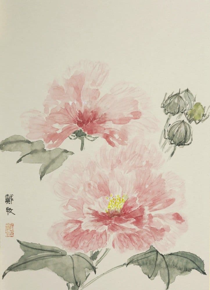 Hibiscus Flower
