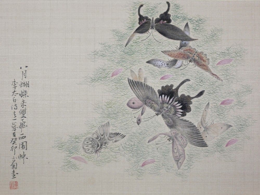 Dream of the Butterfly 3