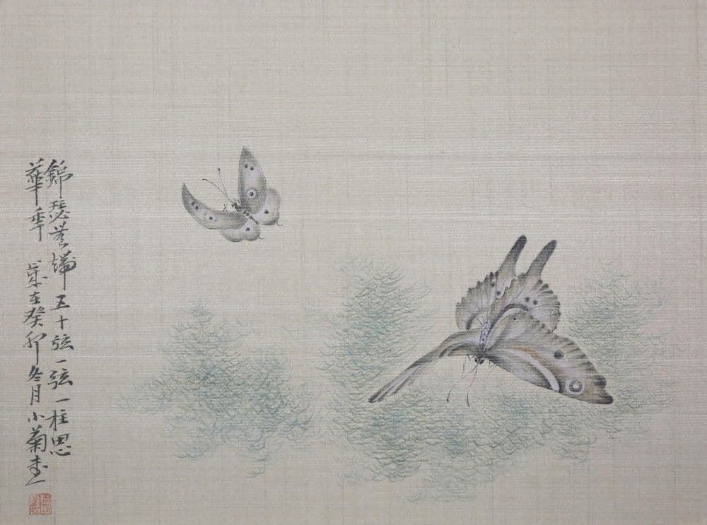 Dream of the Butterfly 4