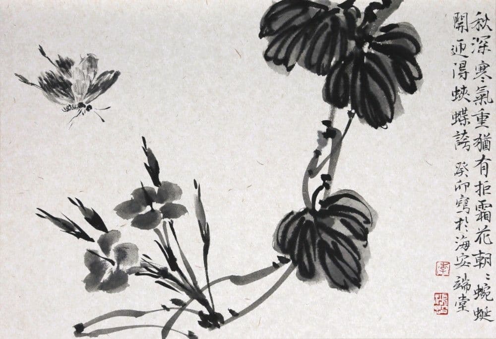 Morning Glory and Butterflies