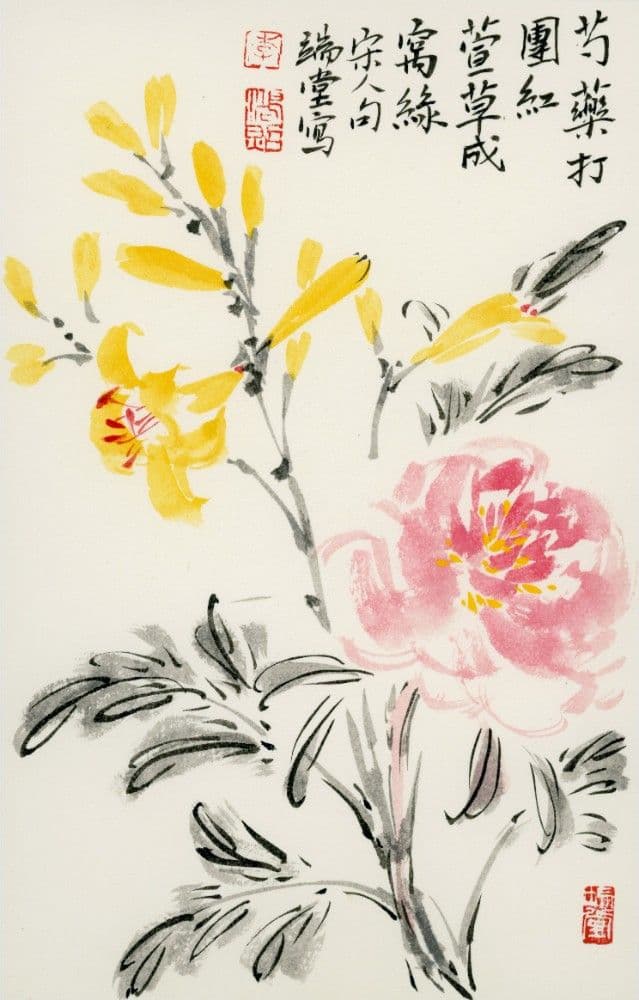 Daylilies and Peonies