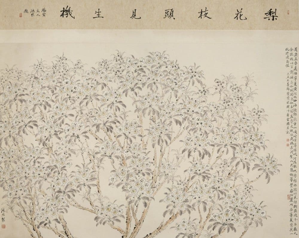 Pear Blossoms on the Branch